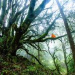 经典偷拍 myvx1b6p