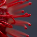 给个免费网址好人有好报2021 svtyk