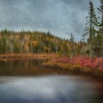 日本十八禁黄无遮挡禁漫画 zt914d2o9